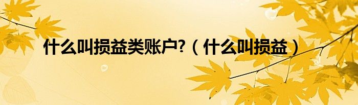 什么叫损益类账户?(什么叫损益)