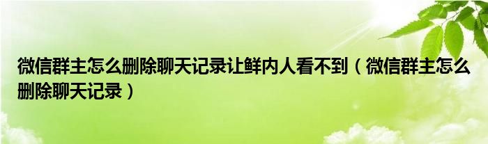 微信群主怎么删除聊天记录让鲜内人看不到(微信群主怎么删除聊天记录)
