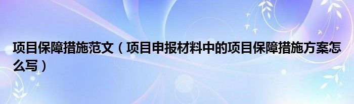 项目保障措施范文(项目申报材料中的项目保障措施方案怎么写)
