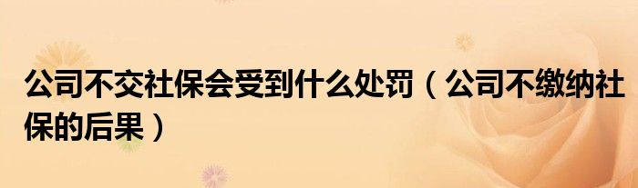公司不交社保会受到什么处罚(公司不缴纳社保的后果)