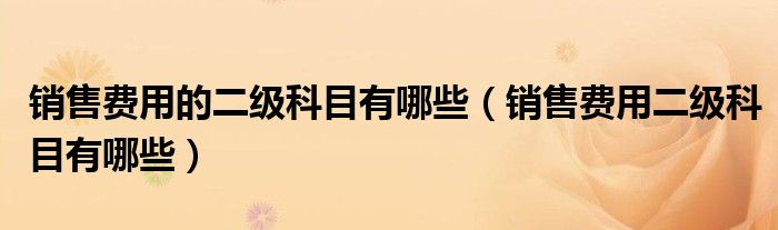 销售费用的二级科目有哪些(销售费用二级科目有哪些)