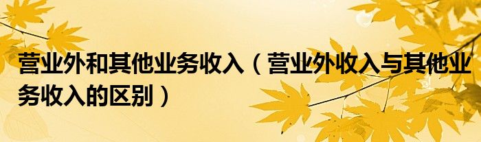 营业外和其他业务收入(营业外收入与其他业务收入的区别)