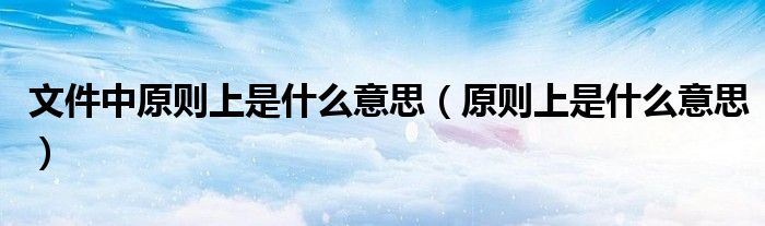 文件中原则上是什么意思(原则上是什么意思)