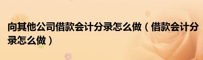 向其他公司借款会计分录怎么做(借款会计分录怎么做)