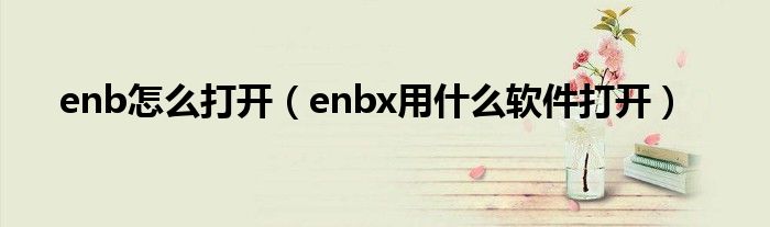 enb怎么打开(enbx用什么软件打开)