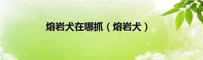 熔岩犬在哪抓（熔岩犬）