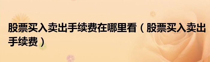 股票买入卖出手续费在哪里看(股票买入卖出手续费)