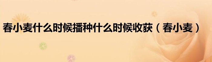 春小麦什么时候播种什么时候收获(春小麦)