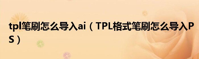 tpl笔刷怎么导入ai(TPL格式笔刷怎么导入PS)