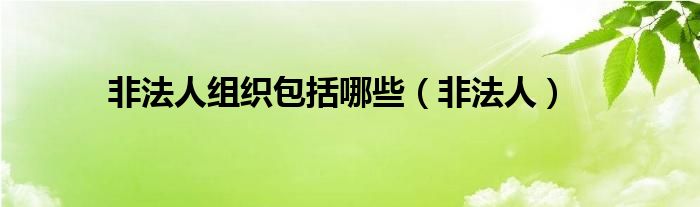 非法人组织包括哪些(非法人)