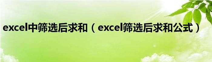 excel中筛选后求和(excel筛选后求和公式)