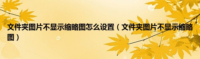 文件夹图片不显示缩略图怎么设置(文件夹图片不显示缩略图)