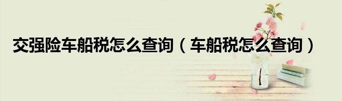 交强险车船税怎么查询(车船税怎么查询)