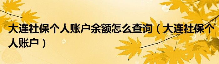 大连社保个人账户余额怎么查询(大连社保个人账户)