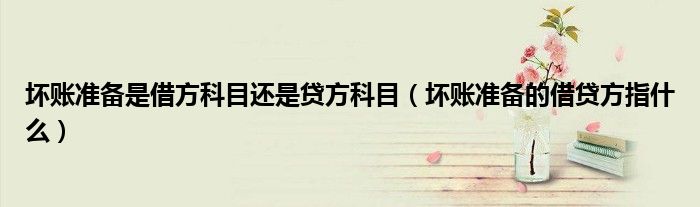 坏账准备是借方科目还是贷方科目(坏账准备的借贷方指什么)