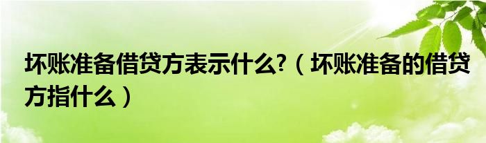 坏账准备借贷方表示什么?(坏账准备的借贷方指什么)