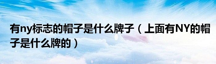 有ny标志的帽子是什么牌子(上面有NY的帽子是什么牌的)