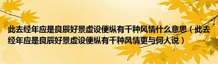 此去经年应是良辰好景虚设便纵有千种风情什么意思(此去经年应是良辰好景虚设便纵有千种风情更与何人说)