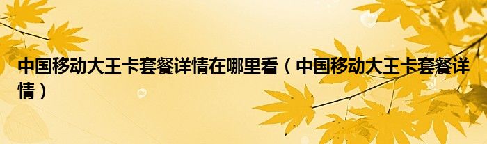 中国移动大王卡套餐详情在哪里看(中国移动大王卡套餐详情)