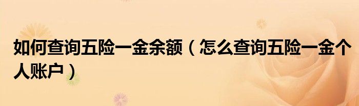 如何查询五险一金余额(怎么查询五险一金个人账户)