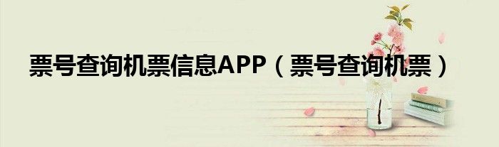 票号查询机票信息APP(票号查询机票)