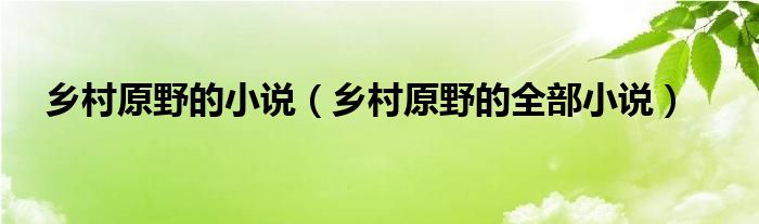 乡村原野的小说(乡村原野的全部小说)