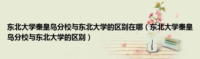 东北大学秦皇岛分校与东北大学的区别在哪(东北大学秦皇岛分校与东北大学的区别)