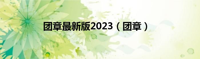 团章最新版2023（团章）