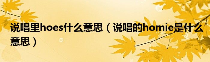 说唱里hoes什么意思(说唱的homie是什么意思)