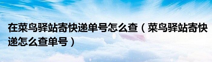 在菜鸟驿站寄快递单号怎么查(菜鸟驿站寄快递怎么查单号)