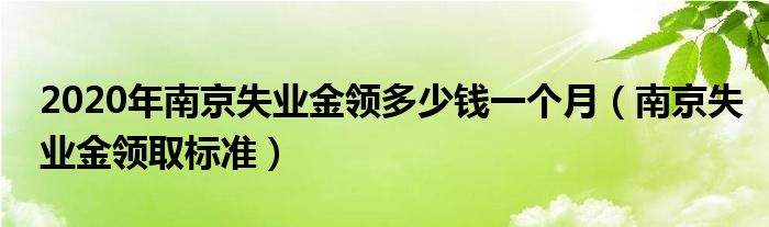 2020年南京失业金领多少钱一个月(南京失业金领取标准)
