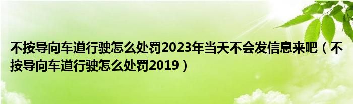 不按导向车道行驶怎么处罚2023年当天不会发信息来吧(不按导向车道行驶怎么处罚2019)