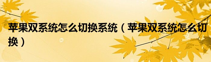 苹果双系统怎么切换系统(苹果双系统怎么切换)