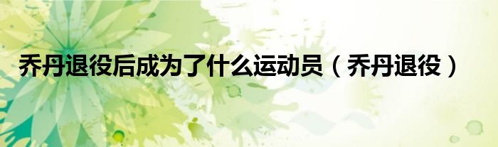 乔丹退役后成为了什么运动员(乔丹退役)