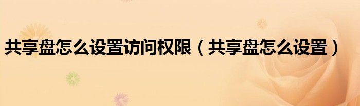 共享盘怎么设置访问权限(共享盘怎么设置)