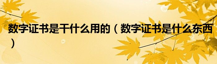 数字证书是干什么用的(数字证书是什么东西)