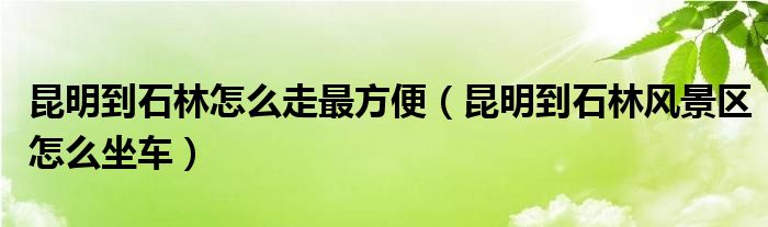 昆明到石林怎么走最方便(昆明到石林风景区怎么坐车)