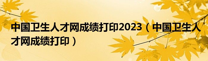 中国卫生人才网成绩打印2023（中国卫生人才网成绩打印）