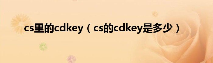 cs里的cdkey（cs的cdkey是多少）