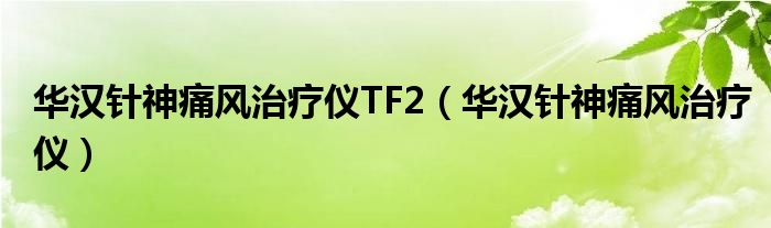 华汉针神痛风治疗仪TF2（华汉针神痛风治疗仪）