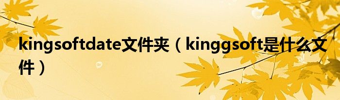 kingsoftdate文件夹（kinggsoft是什么文件）