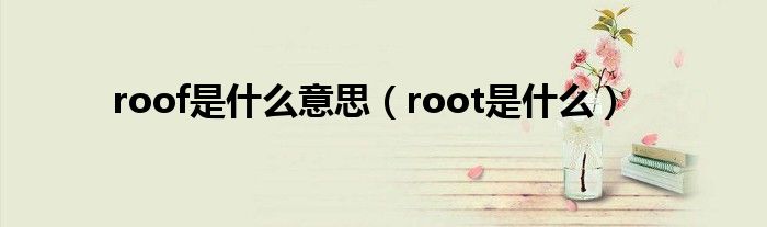 roof是什么意思（root是什么）
