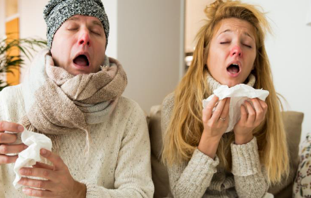 5种治疗普通感冒和流感的草药
