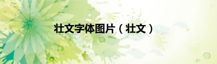 壮文字体图片(壮文)