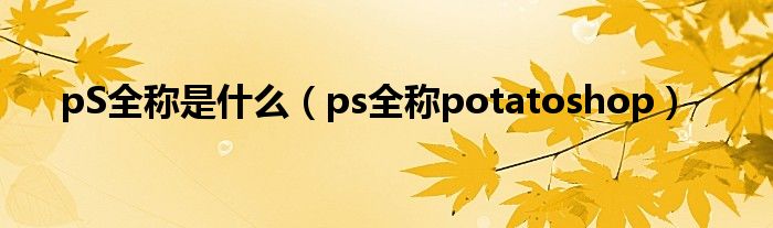 pS全称是什么（ps全称potatoshop）