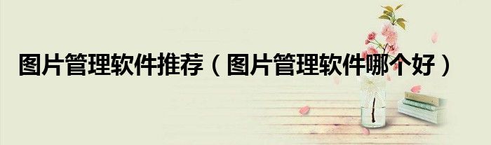 图片管理软件推荐(图片管理软件哪个好)