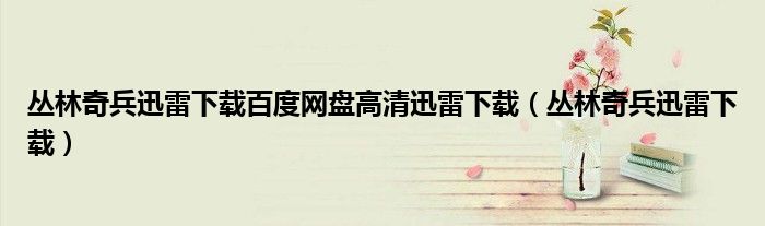 丛林奇兵迅雷下载百度网盘高清迅雷下载(丛林奇兵迅雷下载)