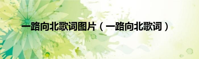 一路向北歌词图片(一路向北歌词)