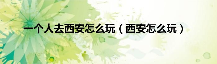 一个人去西安怎么玩(西安怎么玩)