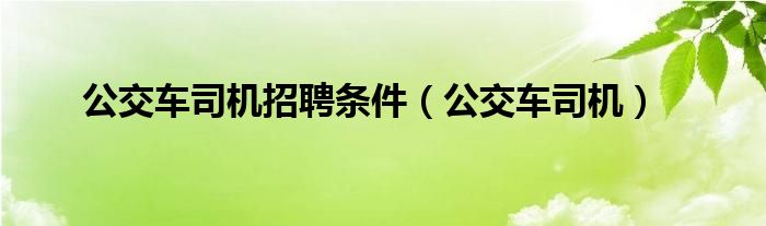 公交车司机招聘条件(公交车司机)